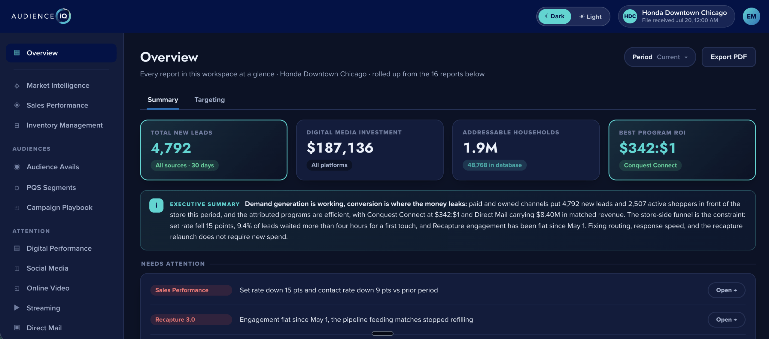 Representative AudienceIQ reporting view